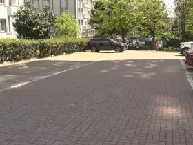 Beylikdüzü’nde başıboş köpekler vatandaşı kovaladı
