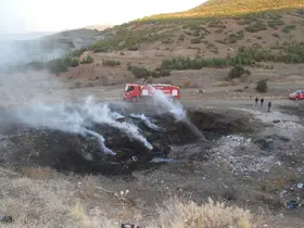Beyşehir'de ormanlık alan içerisinde çıkan yangın paniğe neden oldu