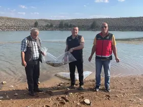 Beyşehir ve Hüyük’ün göletlerine balık bırakıldı