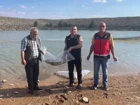 Beyşehir ve Hüyük’ün göletlerine balık bırakıldı
