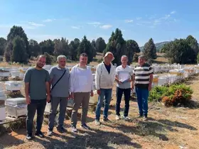 Beyşehir’de arılı kovanlar tek tek sayılıyor
