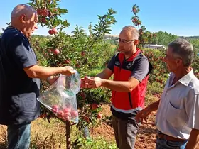 Beyşehir’de hasat öncesi pestisit denetimleri
