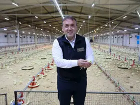 Bilecik 11,5 milyon kanatlı hayvana ev sahipliği yapıyor
