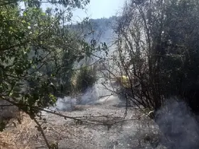 Bilecik’te otluk alanda yangın çıktı
