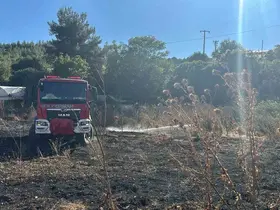 Bilecik’te sera ile depo alanına sıçrayan ot yangını söndürüldü
