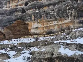 Bin 600 rakımda sürülerin yolculuğu kamerada
