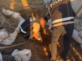 Bingöl’de 4 kilo 450 gram esrar ele geçirildi

