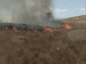 Bingöl’de anız yangını kontrol altına alındı
