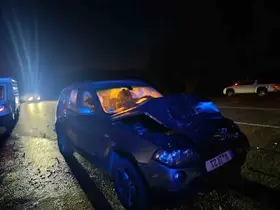 Bingöl’de araç ata çarptı: 1 yaralı
