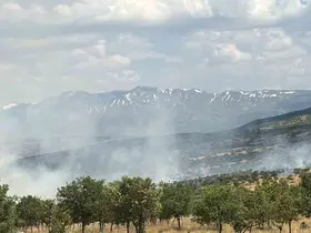 Bingöl’de çıkan orman yangını büyümeden kontrol altına alındı
