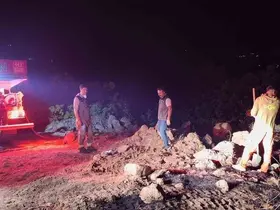 Bingöl’de çıkan orman yangınları kontrol altına alındı
