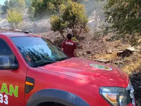 Bingöl’de iki ayrı noktada çıkan yangınlar söndürüldü
