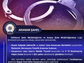 Bingöl’de kesinleşmiş hapis cezası bulunan zanlı yakalandı

