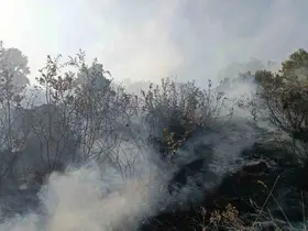 Bingöl’de orman ve mera yangınları söndürüldü
