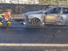 Bingöl’de seyir halindeki otomobil alevlere teslim oldu
