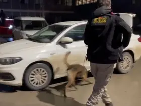 Binlerce uyuşturucu hap ele geçirildi: 3 kişi tutuklandı
