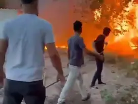 Birecik’te korkutan yangın
