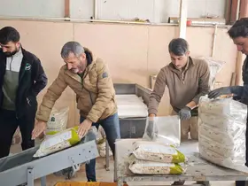 Bitlis, tohumluk kuru fasulye üretiminde Türkiye birincisi
