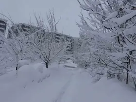 Bitlis’te kar esareti, 229 köy yolu ulaşıma kapalı
