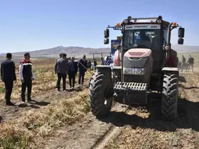 Bitlis’te kuru fasulye hasadında rekor: 37 bin ton üretim
