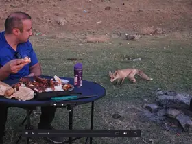 Bitlis’te piknik sofrasına davetsiz misafir
