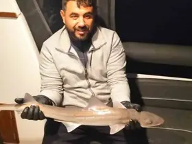Bodrum açıklarında oltaya köpek balığı takıldı
