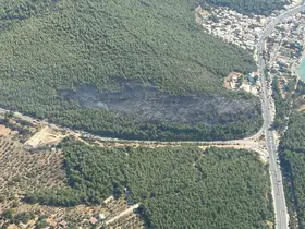 Bodrum orman yangını kontrol altına alındı
