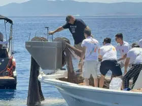 Bodrum’da 2 bin metrekare hayalet ağ temizlendi, binlerce yavru balık doğaya bırakıldı
