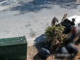Bodrum’da çevreyi kirletenler belediye kamerasına yakalandı
