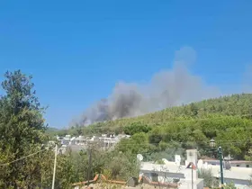 Bodrum’da orman yangını başladı
