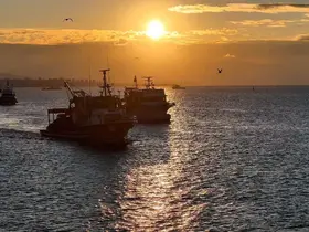 Boğaz’da fırtına sonrası balıkçılar yeniden denize açıldı
