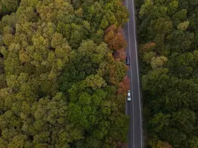 Bolu-Seben yolunda muhteşem sonbahar güzelliği
