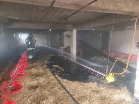 Bolu’da 10 bin kapasiteli kümeste yangın
