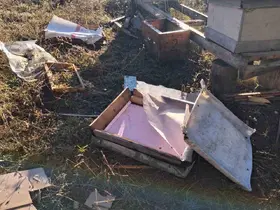 Bolu’da aç kalan ayı arı kovanlarını parçaladı
