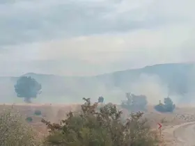 Bolu’da arazi yangını ormanlık alana ulaşmadan söndürüldü
