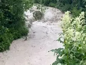 Bolu’da dereler taştı, tarım arazileri sular altında kaldı
