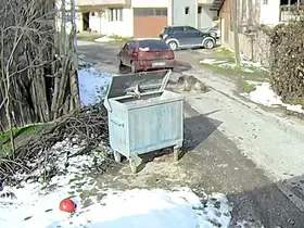 Bolu’da ezilen köpeğin röntgeninden 400 saçma çıktı:
