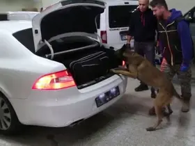 Bolu’da kaçakçılık operasyonunda 6 gözaltı
