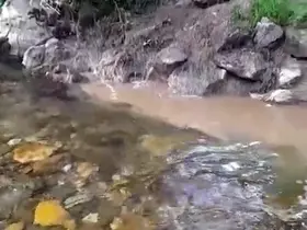 Bolu’da kanalizasyon sularının dereye karışmasına tepki
