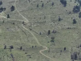 Bolu’da kayıp hayvanlar dronla bulundu
