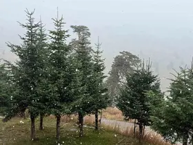 Bolu’da mevsimin ilk karı yağdı
