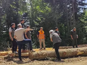 Bolu’da ormancılık faaliyetlerine saha denetimi
