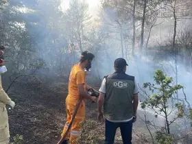Bolu’da ormanlık alanda çıkan yangın kontrol altına alındı
