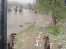 Bolu’da sağanak yağış dereleri taşırdı: Bahçe ve ahırlar sular altında kaldı

