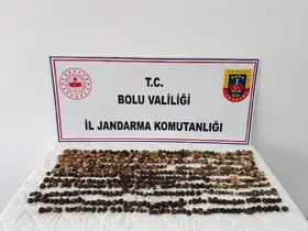 Bolu’da yabani salep toplayan 3 kişiye rekor ceza: 2 milyon 97 bin TL
