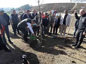 Bolu’da yanan orman yeniden yeşeriyor
