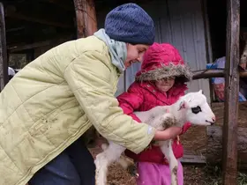 Bolu’da yaylalardan köylere göç başladı
