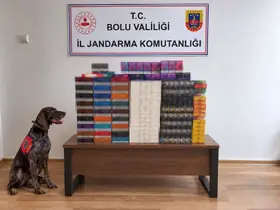 Bolu’da yolcu otobüslerinde kaçak tütün operasyonu: Piyasa değeri 760 bin TL
