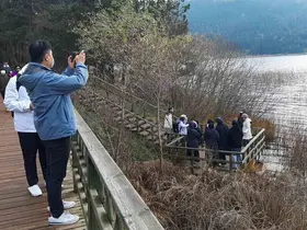 Bolu’nun doğa harikası Abant Gölü’ne ziyaretçi akını
