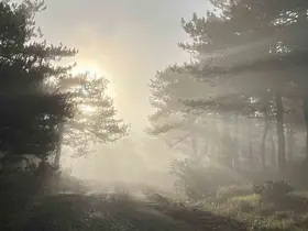 Bozdağ zirvesindeki sis manzarası hayran bıraktı
